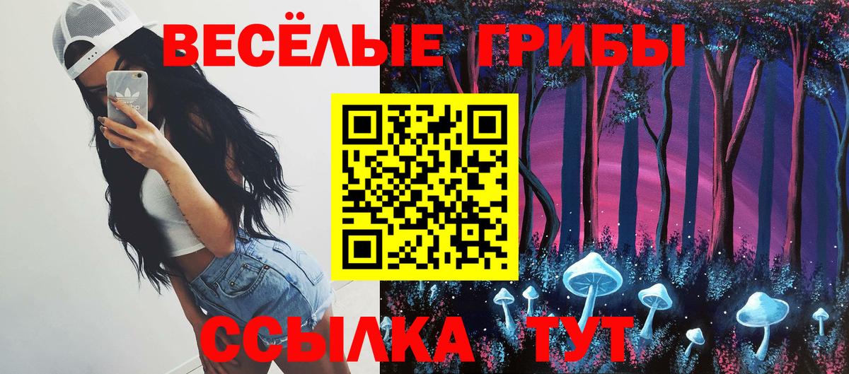 Якутск  Псилоцибиновые грибы мухоморы  Вход с VPN  Псилоцибиновые грибы мухоморы 